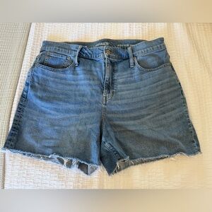 J. Crew Blue Denim Women Shorts